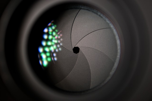 wildcamera